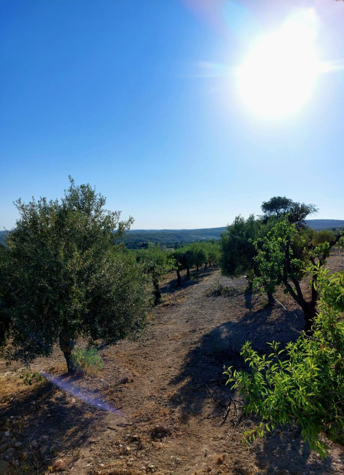 "Bnb Noto" - Charming Tiny House Экстерьер фото