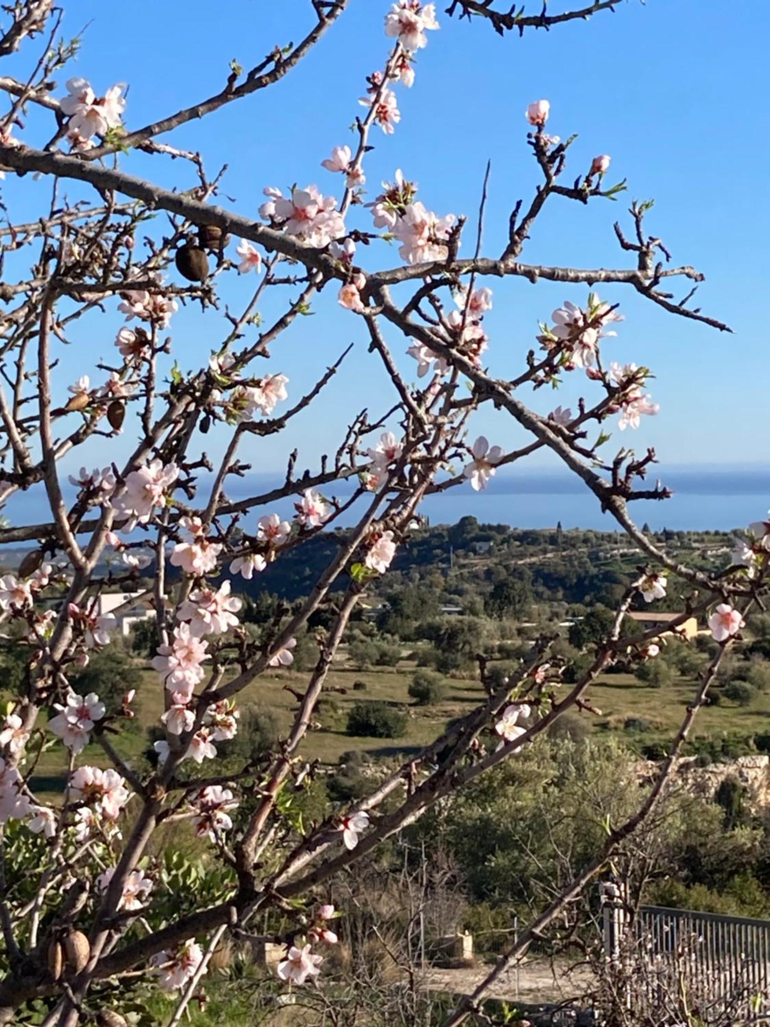 "Bnb Noto" - Charming Tiny House Экстерьер фото